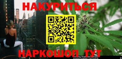 мяу мяу мука Кандалакша
