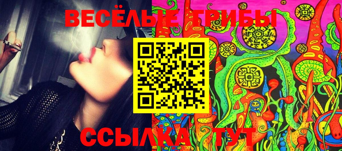 Псилоцибиновые грибы GOLDEN TEACHER  Вход с VPN  Кстово 